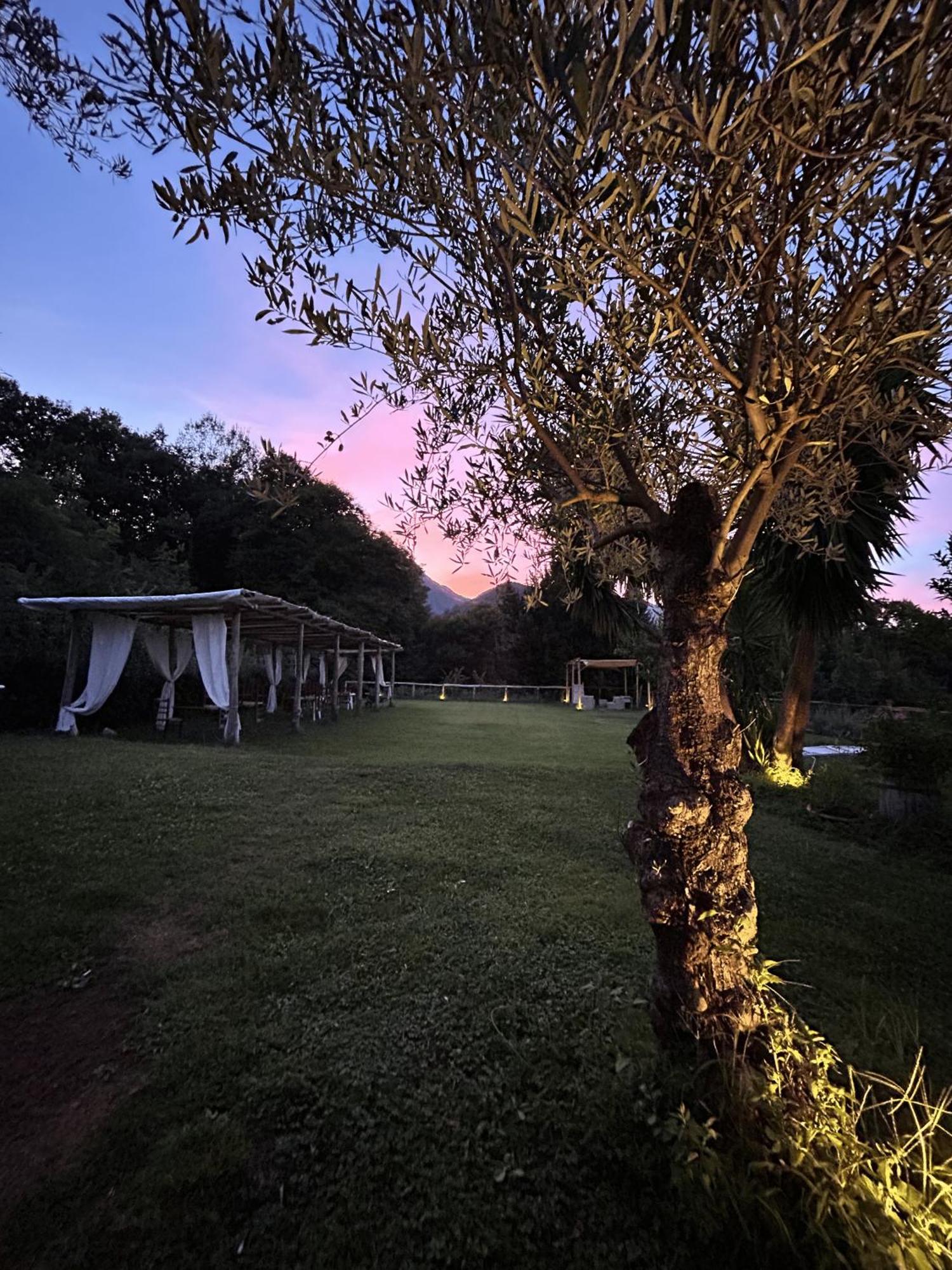 Agriturismo Colle Maiano Vietri Kültér fotó